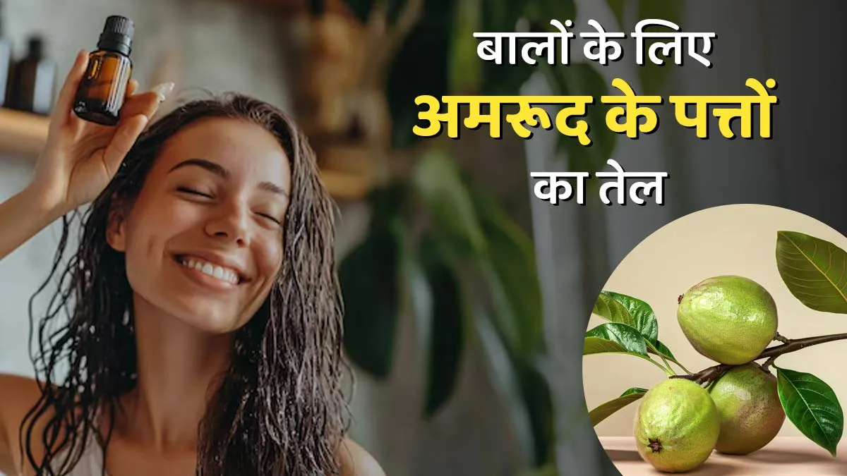 मजबूत और घने बाल पाने के लिए इस्तेमाल करें अमरूद के पत्तों का तेल, जानें फायदे