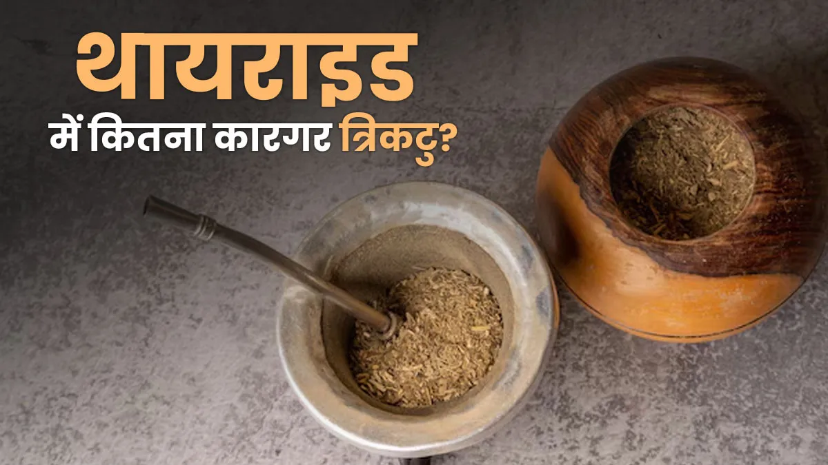 क्या त्रिकटु थायराइड के लिए अच्छा है? एक्सपर्ट से जानें फायदे और किन बातों का रखें ध्यान