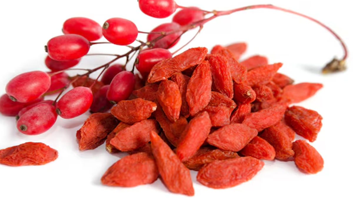 benefits of eating goji seeds in hindi 0