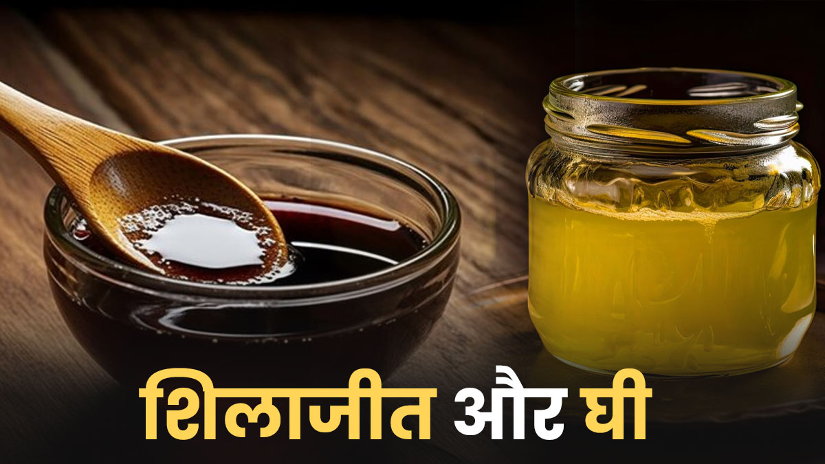 क्या शिलाजीत को घी के साथ ले सकते हैं? जानते हैं इस एक्सपर्ट की राय