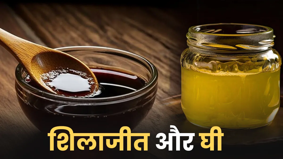 क्या शिलाजीत को घी के साथ ले सकते हैं? जानते हैं इस एक्सपर्ट की राय