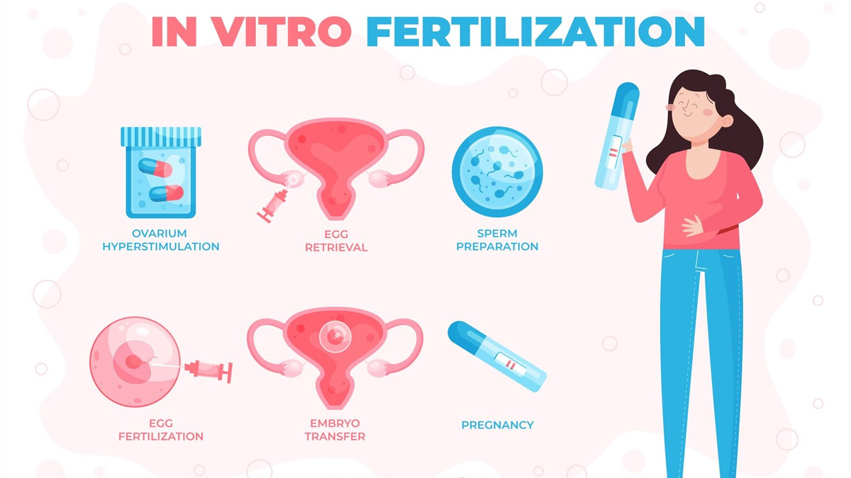 embryo implantation in hindi