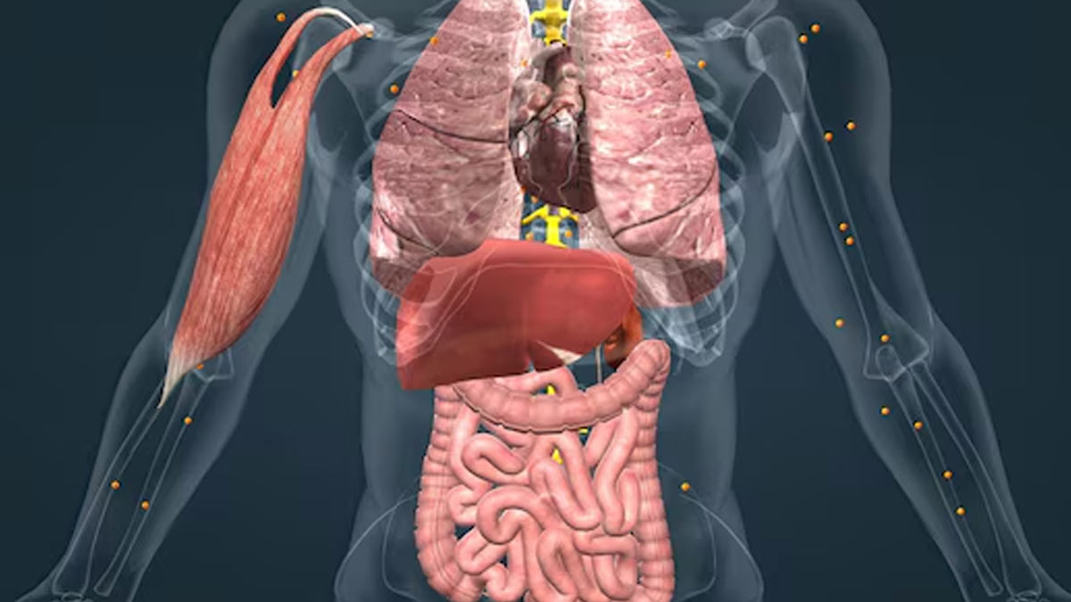 excess-protein-side-effects