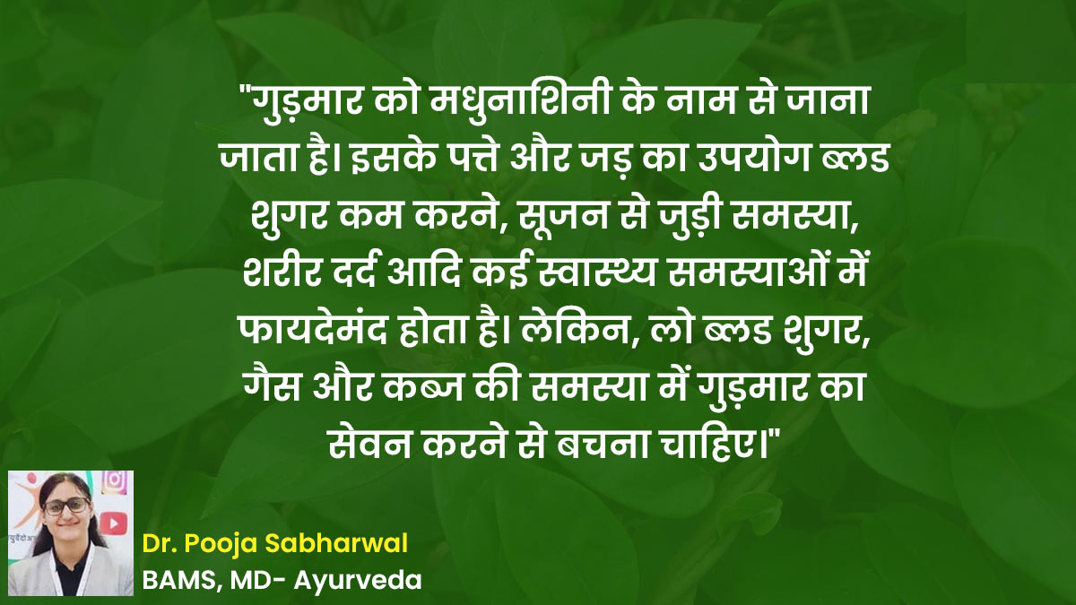 gudmar benefits side effects and best way to consume in hindi 01 (5)