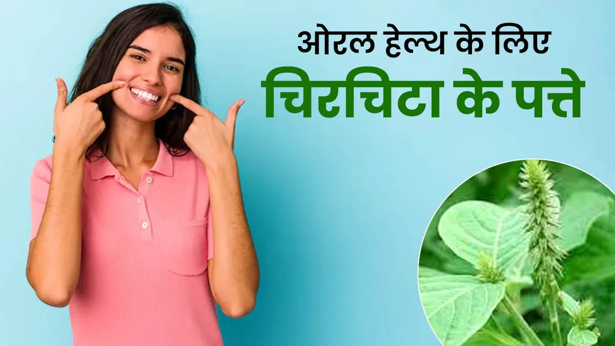 ओरल हेल्थ के लिए फायदेमंद हैं चिरचिटा के पत्ते, जानें इस्तेमाल का तरीका