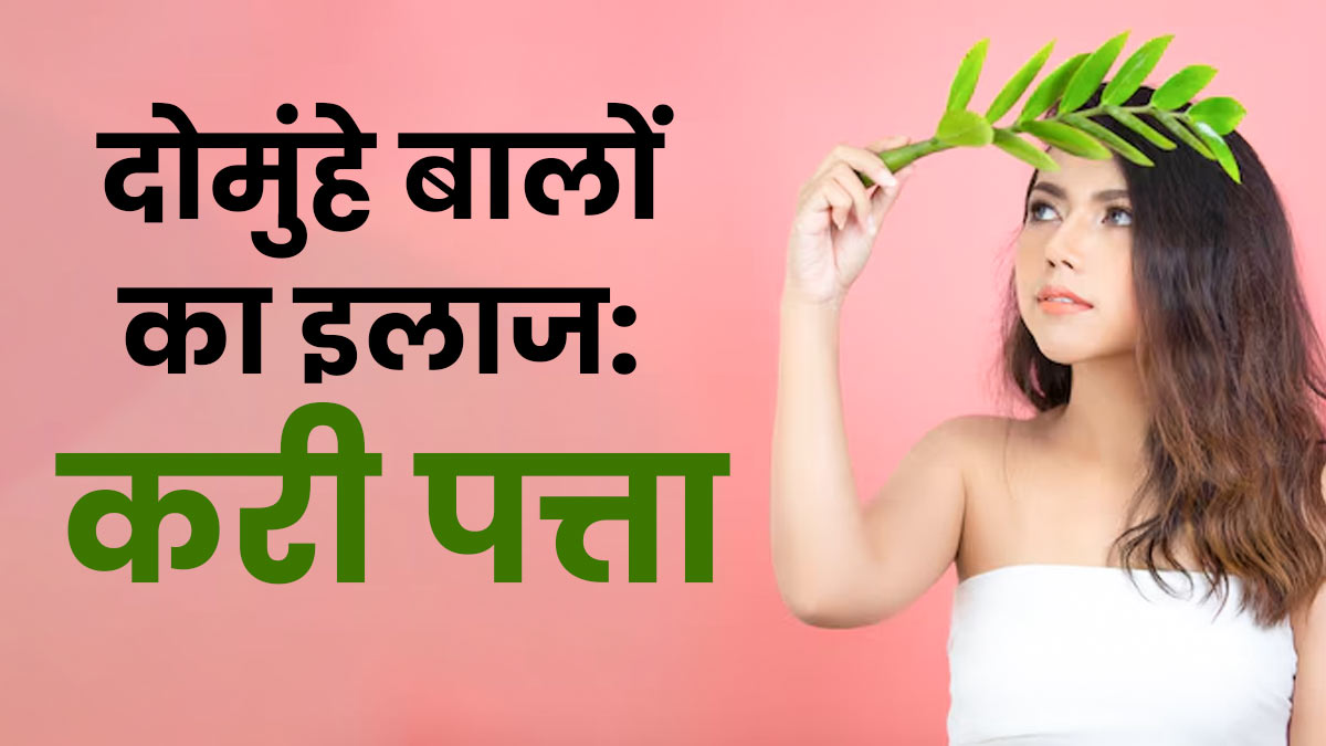 दोमुंहे बालों को जड़ से रोके करी पत्ता, जानें इस्‍तेमाल का सही तरीका