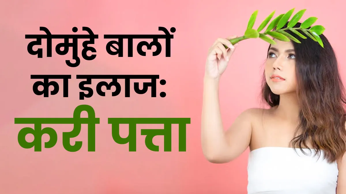 दोमुंहे बालों को जड़ से रोके करी पत्ता, जानें इस्‍तेमाल का सही तरीका