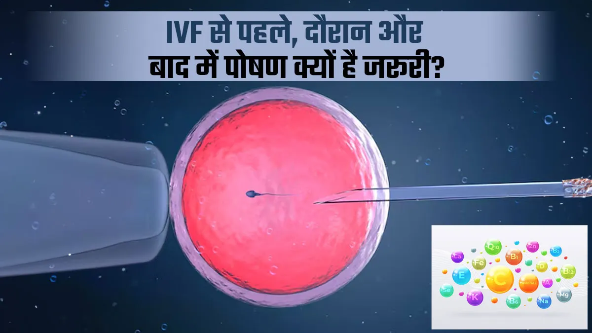 IVF से पहले, दौरान और बाद में पोषण क्यों जरूरी है? डॉक्टर से जानें