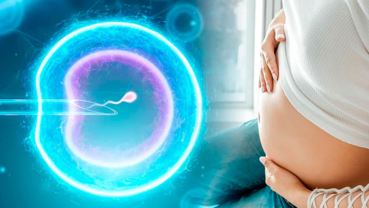 what is a high protein breakfast without eggs in hindi 1