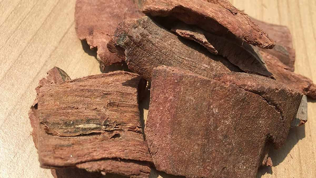 benefits of oak bark in hindi 01 (5)