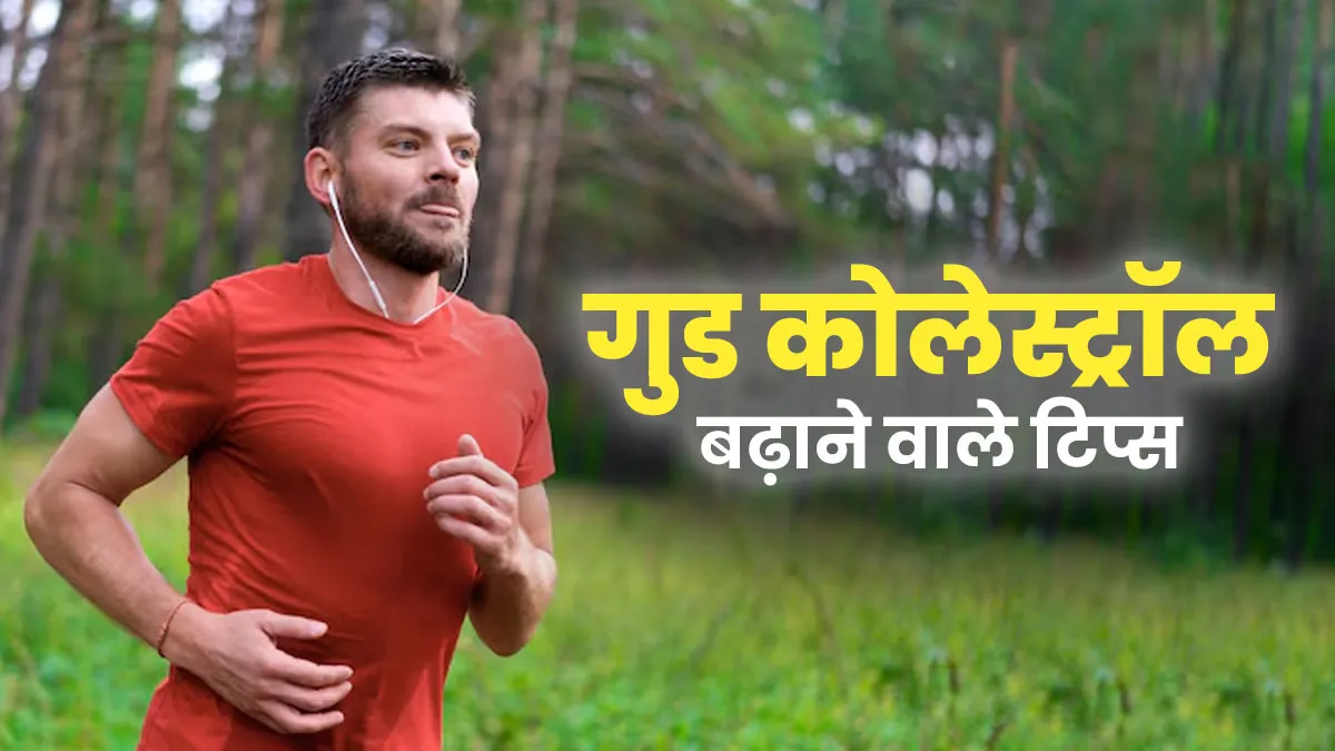 गुड कोलेस्ट्रॉल बढ़ाने लिए क्या करना चाहिए? डाइट के अलावा किन बातों का रखें ध्यान