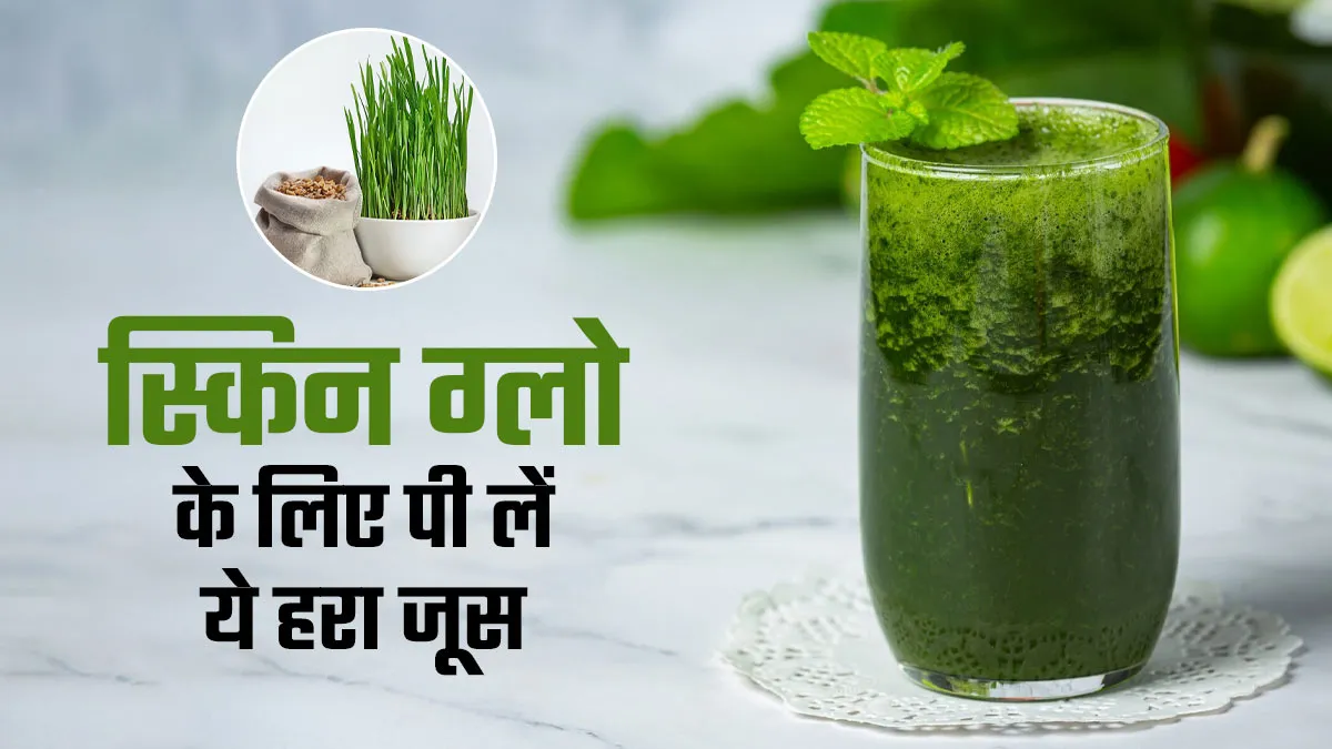 क्या व्हीटग्रास जूस पीने से आपका चेहरा होगा ग्लोइंग? एक्सपर्ट से जानें सच्चाई