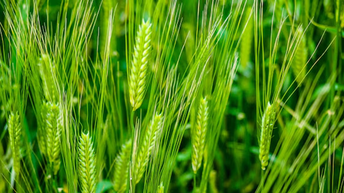 juice for glowing skin