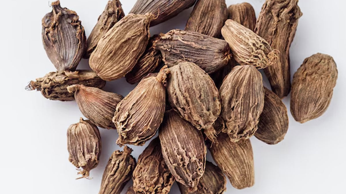 black cardamom water is beneficial for throat problems in hindi 01 (5)