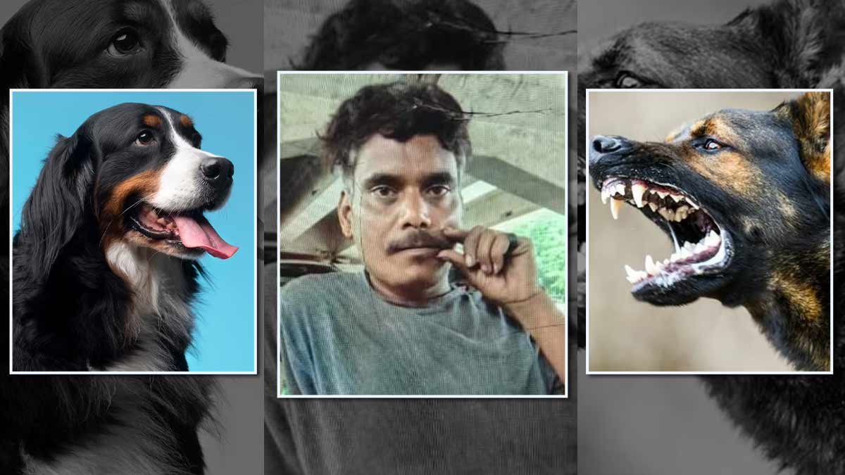 कुत्ता काटने के 3 महीने बाद व्यक्ति की हुई मौत, पानी को देखते ही लगने लगता था डर