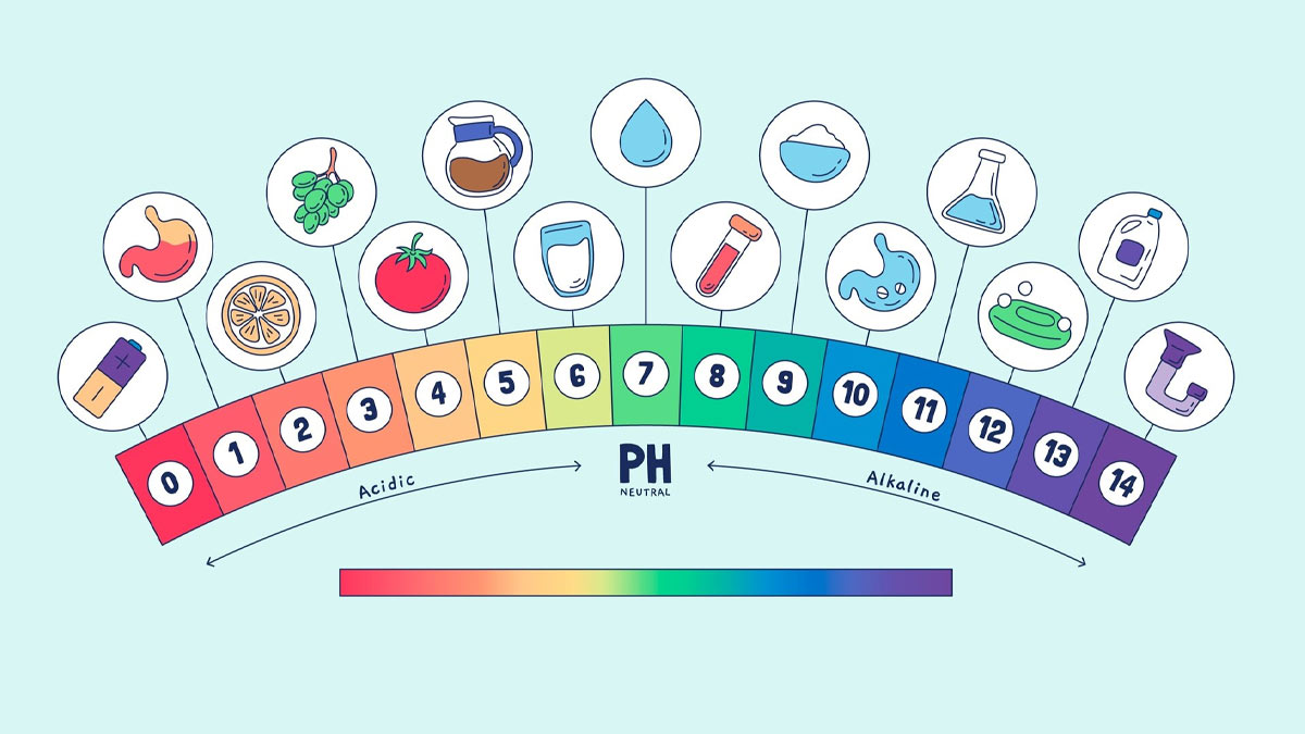 healthy pH level