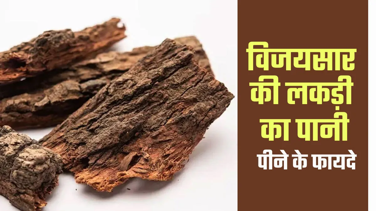 विजयसार की लकड़ी का पानी पीने के फायदे, एक्सपर्ट से जानें