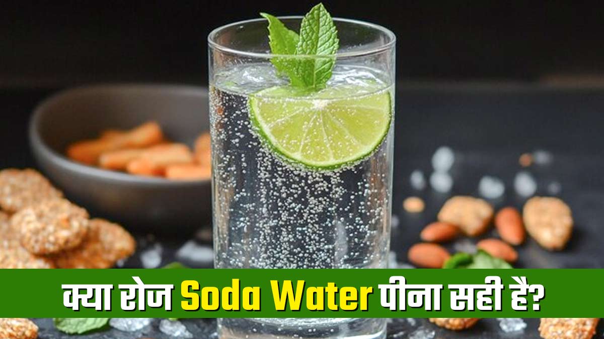 क्या आप भी रोज पीते हैं सोडा वॉटर? जानें ऐसा करना सही है या नहीं