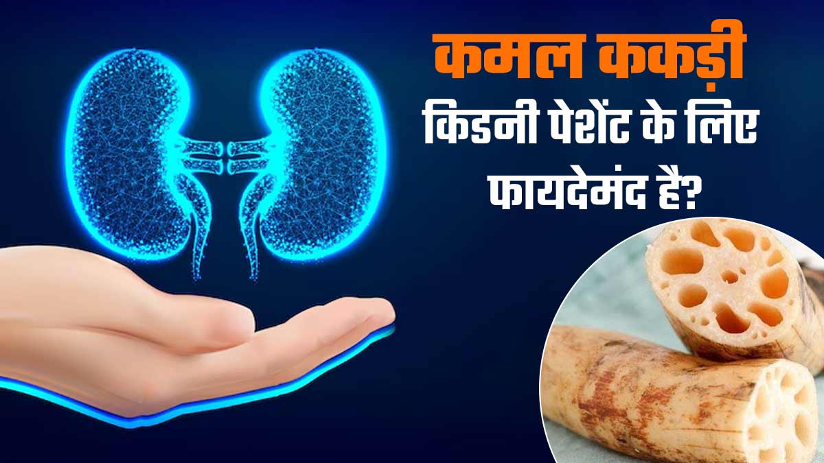 क्या कमल ककड़ी किडनी के मरीजों के लिए फायदेमंद है? एक्सपर्ट से जानें