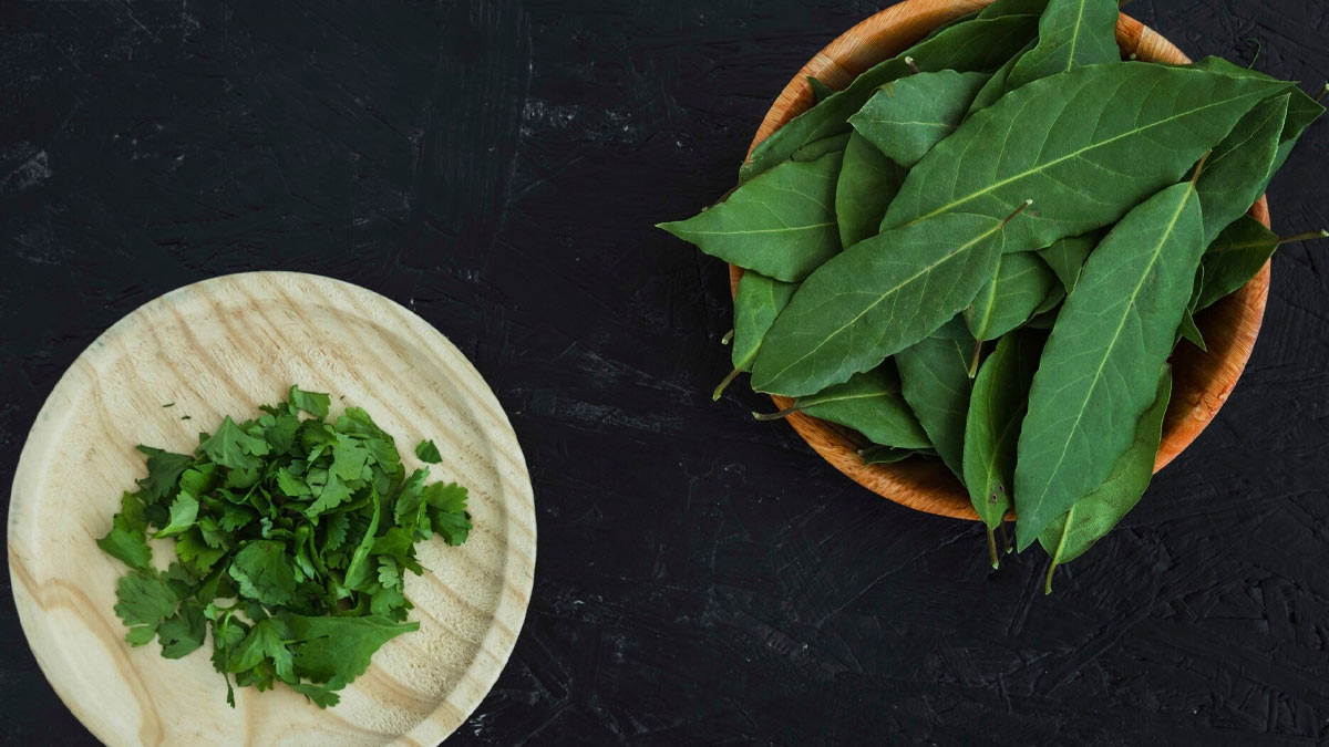 ways-to-use-neem-for-hair-wash-inside