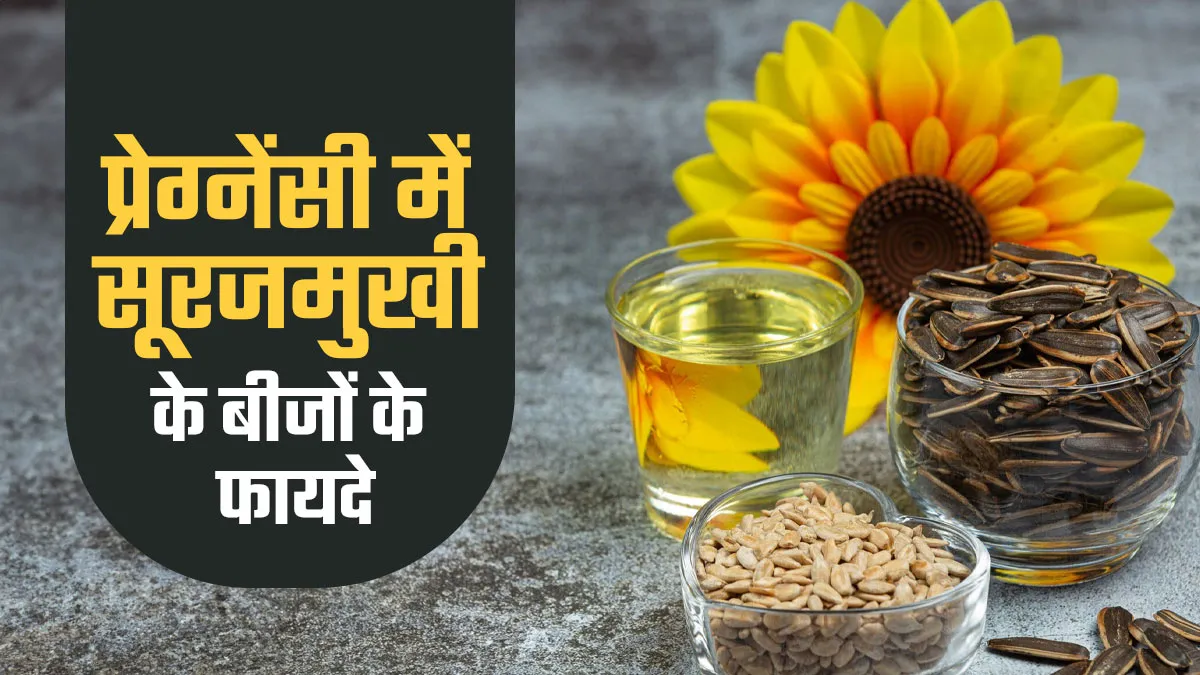 प्रेग्नेंसी के दौरान सूरजमुखी के बीज खाना क्यों है फायदेमंद? एक्सपर्ट से जानें