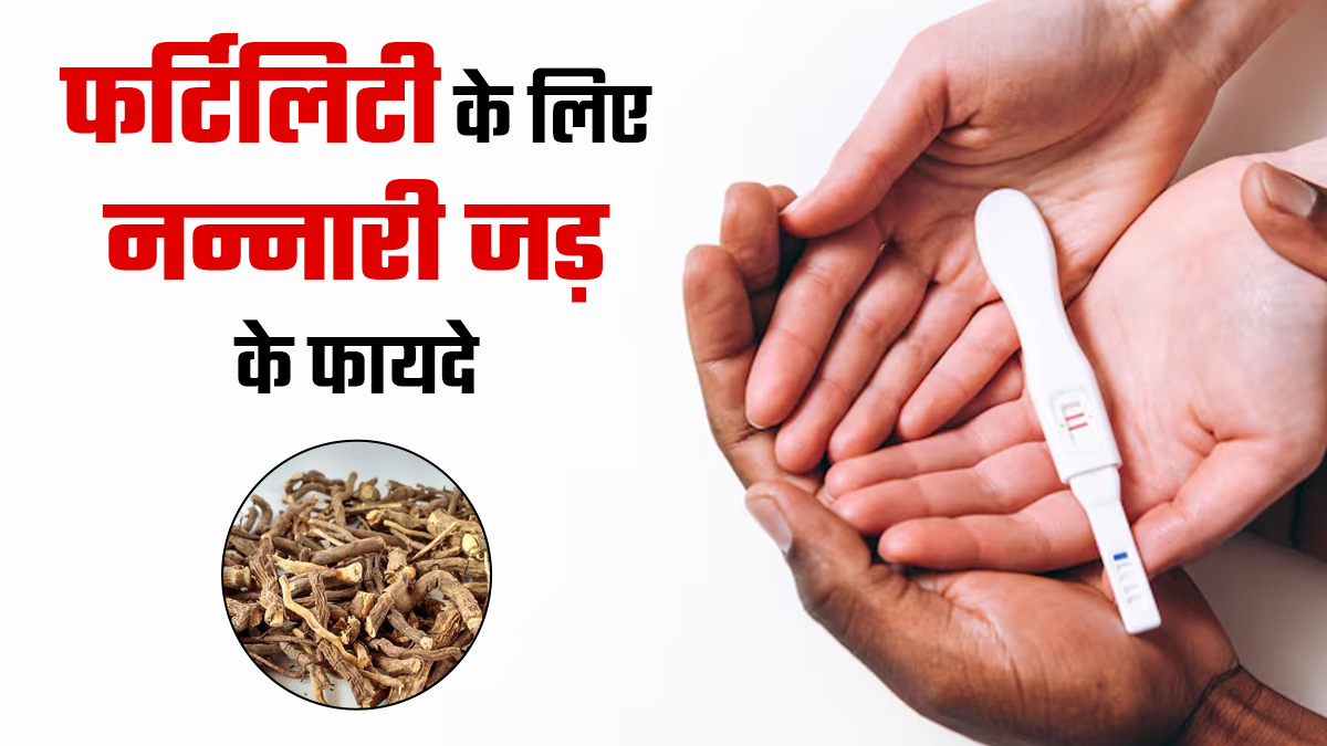 फर्टिलिटी के लिए नन्नारी जड़ के क्या फायदे हैं? डॉक्टर से जानें