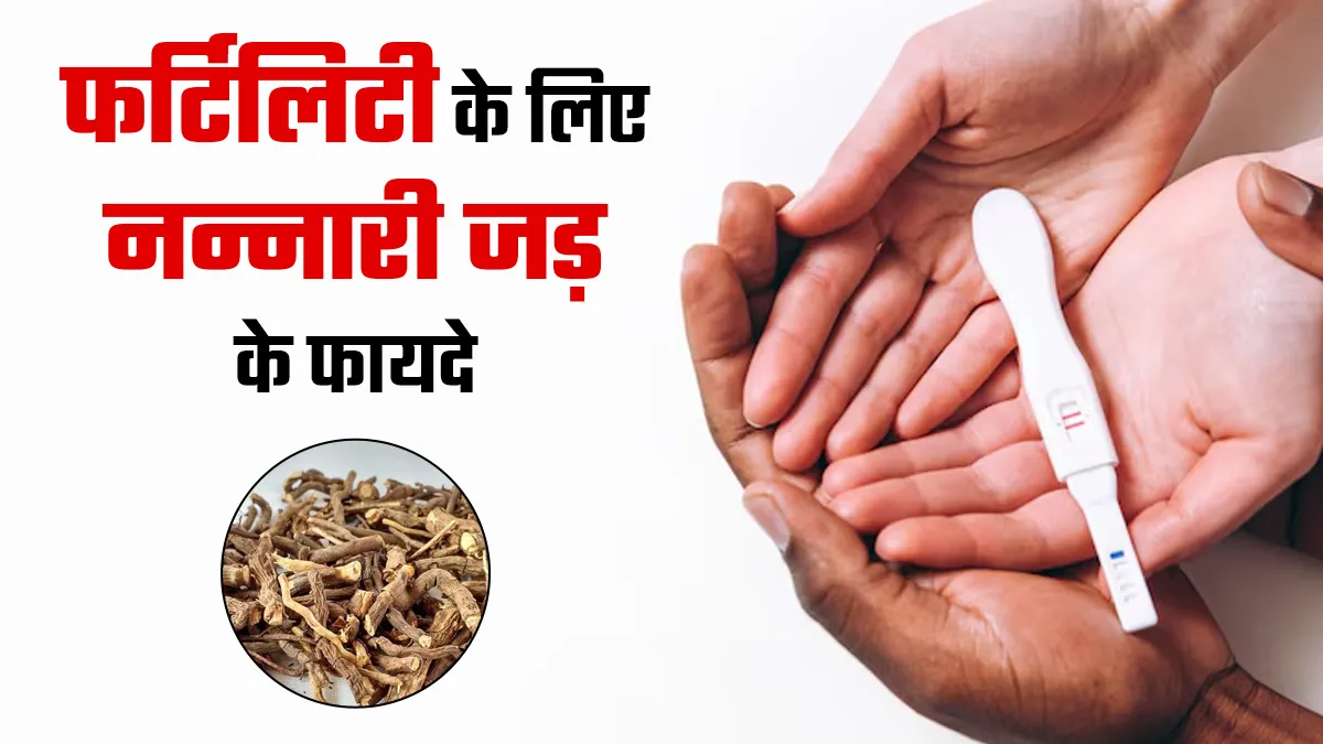 फर्टिलिटी के लिए नन्नारी जड़ के क्या फायदे हैं? डॉक्टर से जानें