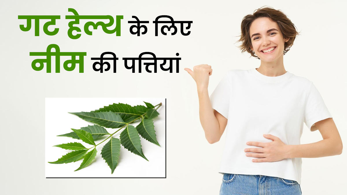 आंतों के स्वास्थ्य के लिए फायदेमंद होती है नीम की पत्तियां, जानें खाने का तरीका