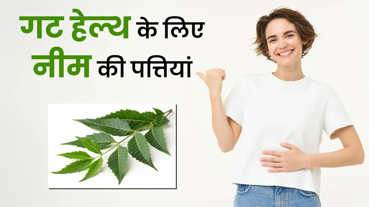 आंतों के स्वास्थ्य के लिए फायदेमंद होती है नीम की पत्तियां, जानें खाने का तरीका