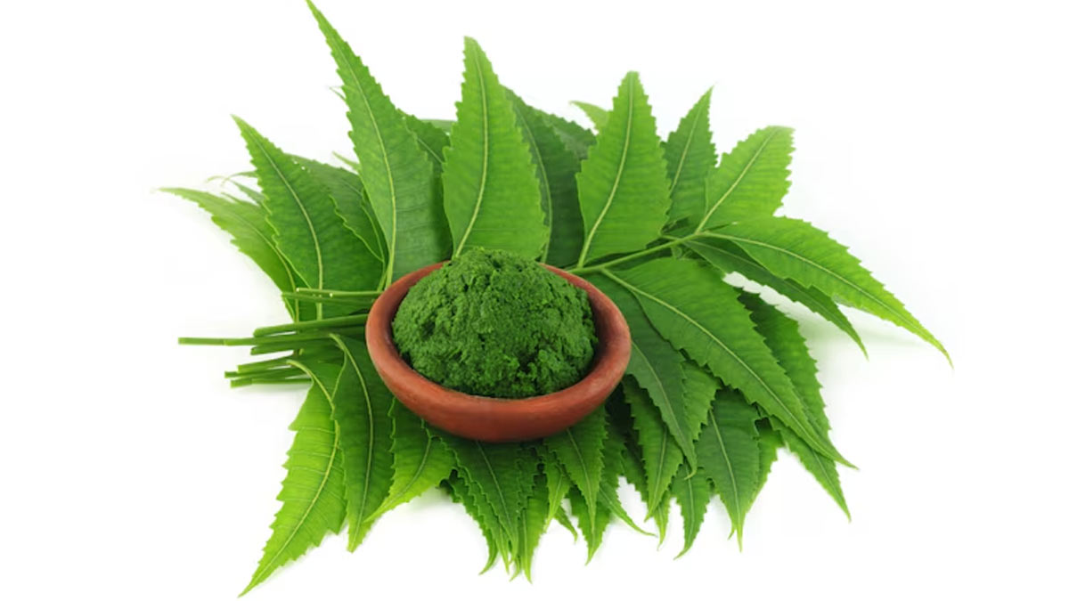 6 ways to use neem to get relief from frequent infections in hindi 01 (6)