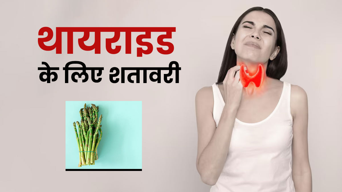 क्या थायराइड को बैलेंस करने के लिए फायदेमंद है शतावरी, आयुर्वेदिक डॉक्टर से जानें
