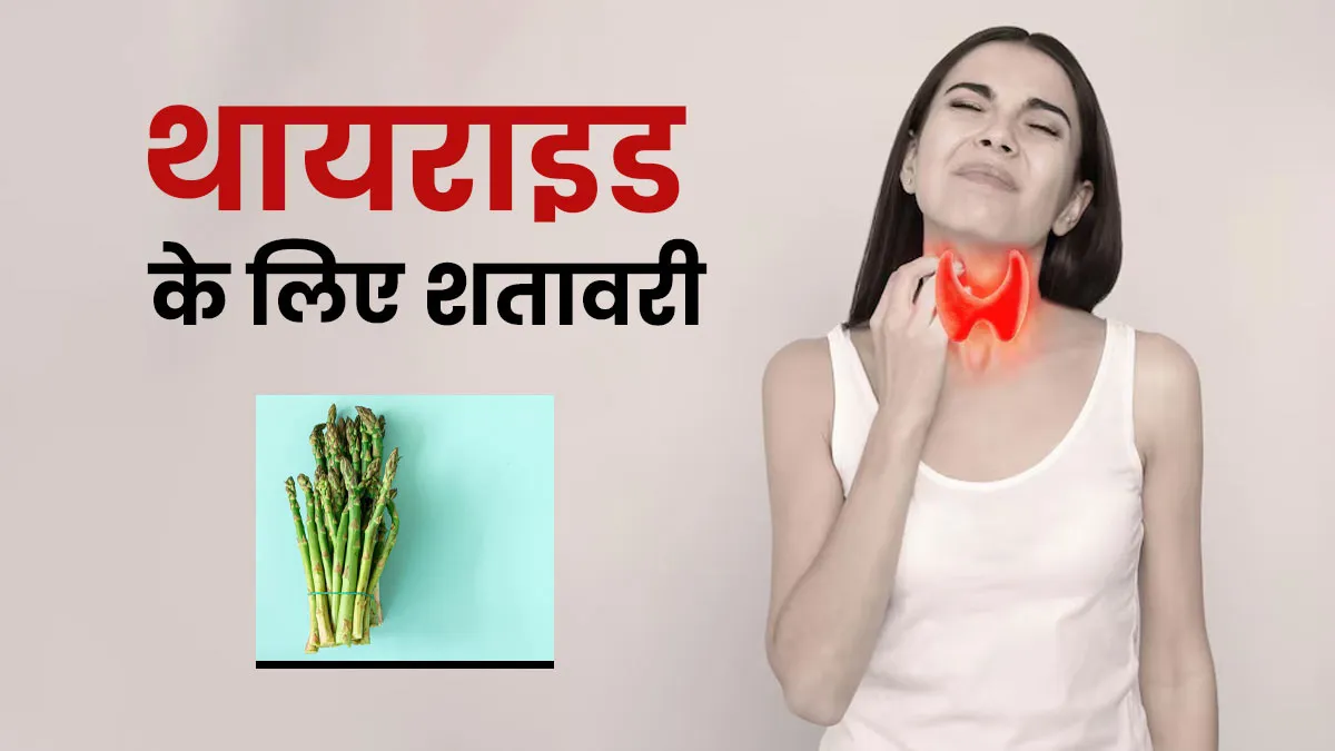क्या थायराइड को बैलेंस करने के लिए फायदेमंद है शतावरी, आयुर्वेदिक डॉक्टर से जानें