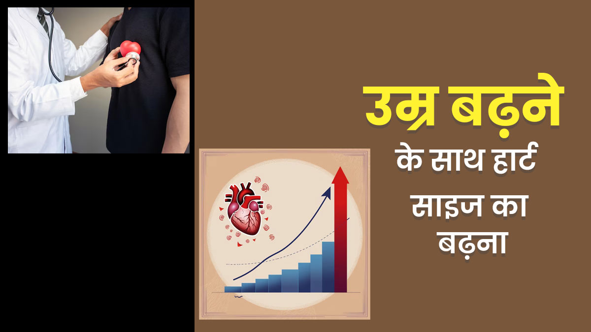 क्या उम्र के साथ बढ़ जाता है हार्ट का साइज? जानें डॉक्टर से इसके कारण