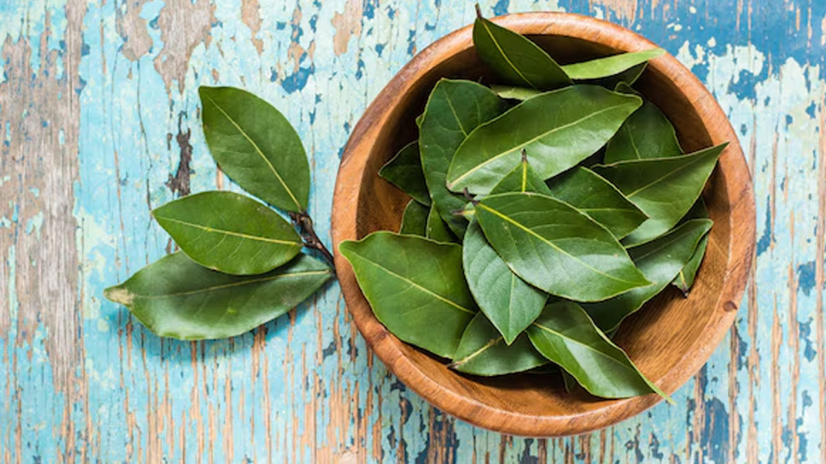 Keep 3 Plants In Your House For Good Health In Hindi 01 (5)