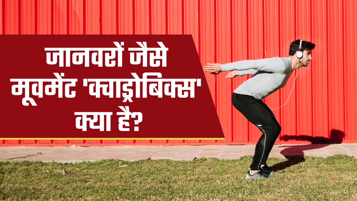 बिल्ली जैसी छलांग, बंदर जैसा उछाल: जानें क्‍या है 'क्वाड्रोबिक्स' जो बन रहा है नया फि‍टनेस ट्रेंड