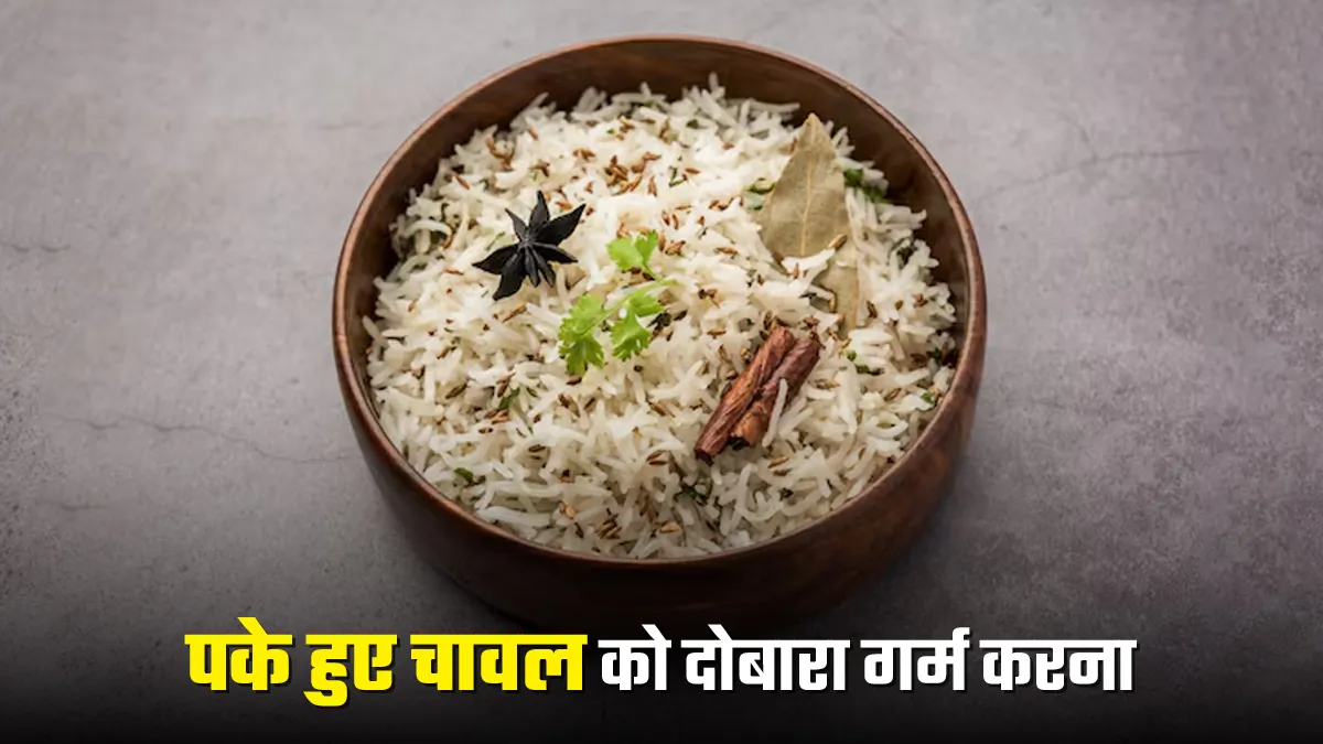 पके हुए चावल को दोबारा करते हैं गर्म, तो पहले जान लें एक्सपर्ट की सलाह