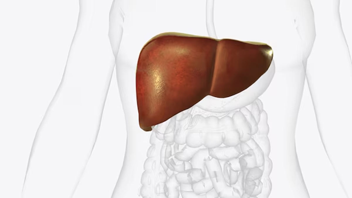 can rapid weight loss cause fatty liver in hindi01 (5)