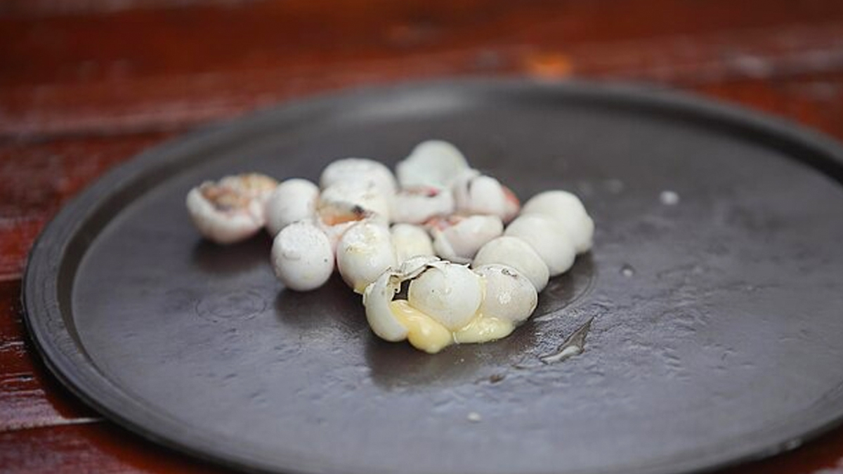 makhana_benefits_for_health