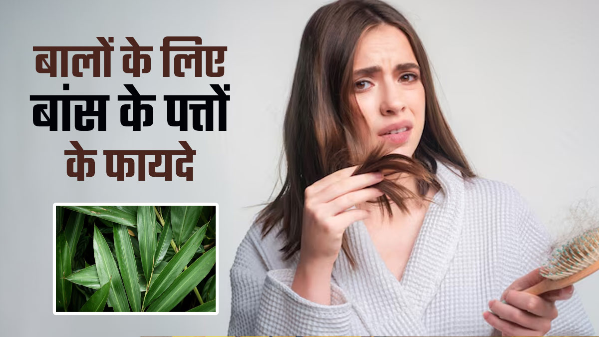बालों के विकास के लिए बांस के पत्तों का उपयोग कैसे करें? खुद एक्सपर्ट से जानें