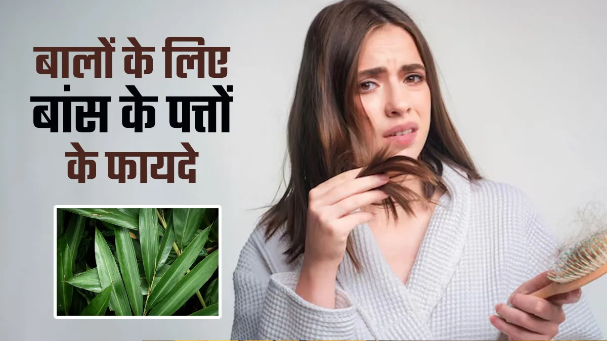 बालों के विकास के लिए बांस के पत्तों का उपयोग कैसे करें? खुद एक्सपर्ट से जानें