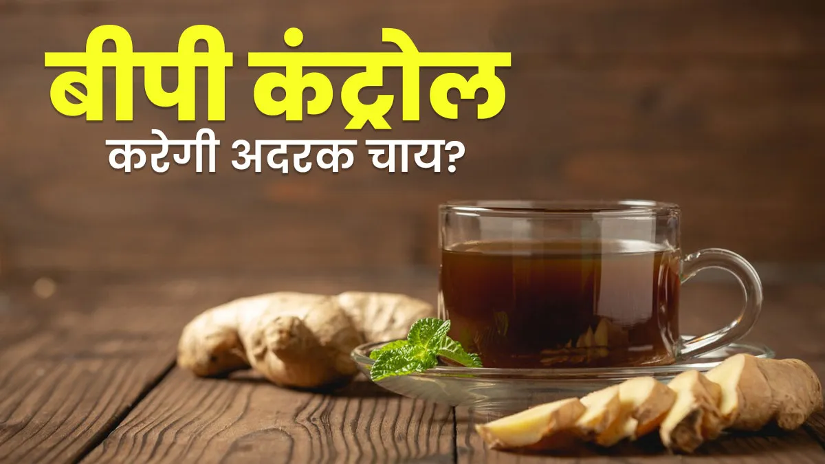 ब्लड प्रेशर कंट्रोल करने में कारगर है अदरक की चाय? डाइटिशियन ने बताई हैरान करने वाली बात