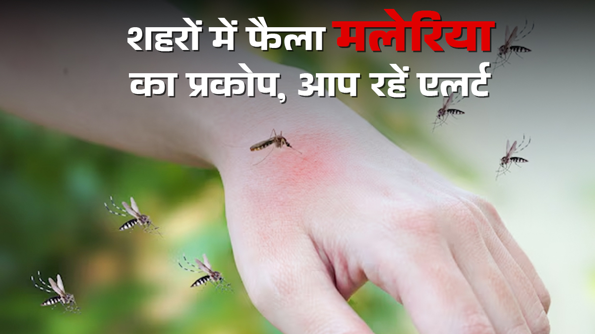 द‍िल्‍ली समेत 5 शहरों में बढ़ रहा है मलेर‍िया का प्रकोप, जानें क्‍यों और कैसे रहें सतर्क
