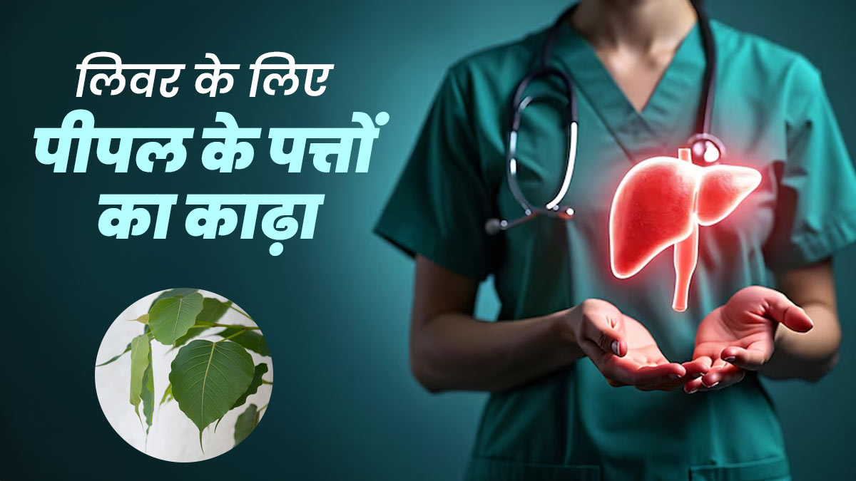लिवर के लिए बेहद फायदेमंद है पीपल के पत्तों का काढ़ा, जानें फायदे और रेसिपी