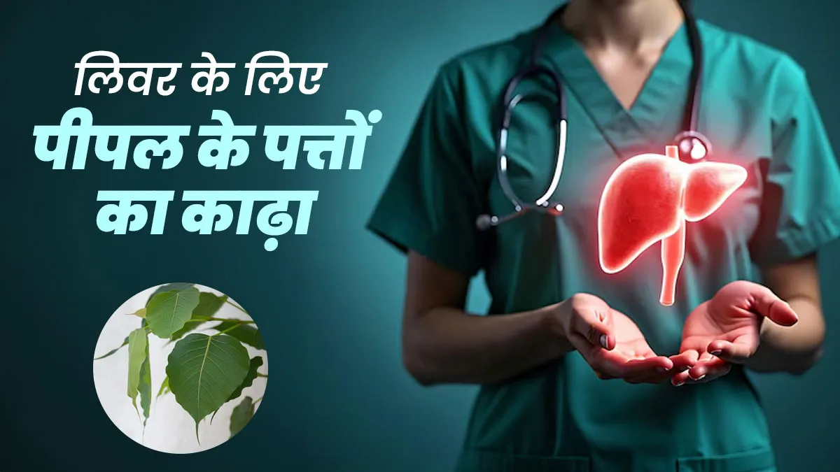 लिवर के लिए बेहद फायदेमंद है पीपल के पत्तों का काढ़ा, जानें फायदे और रेसिपी