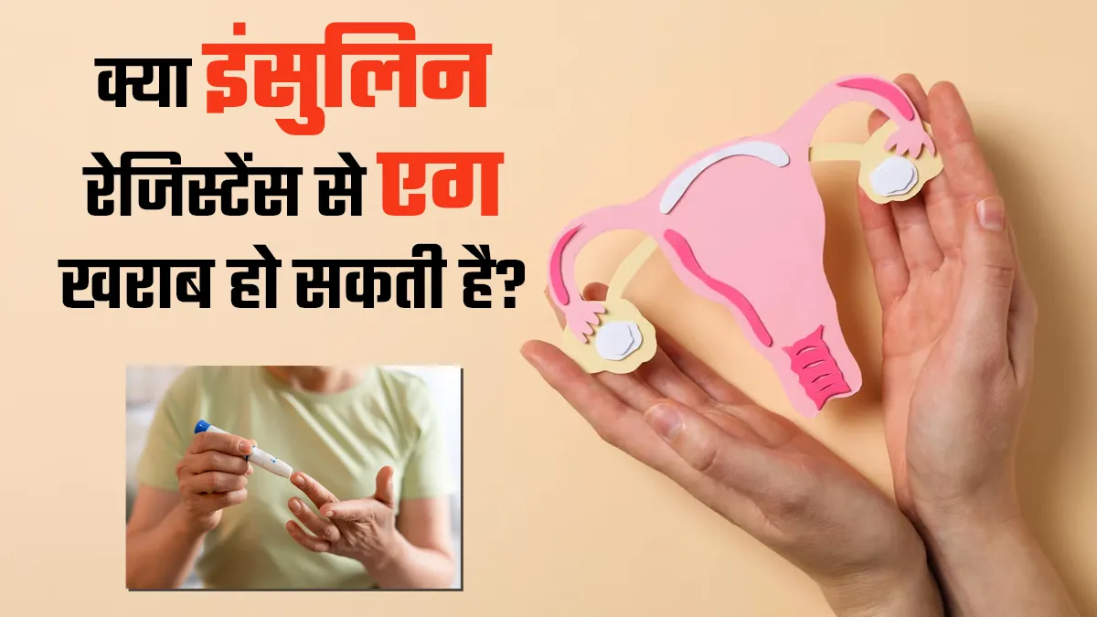 क्या इंसुलिन प्रतिरोध एग की खराब गुणवत्ता का कारण बनता है? डॉक्टर से जानें