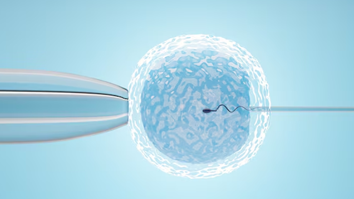 does insulin resistance cause poor egg quality in hindi 1