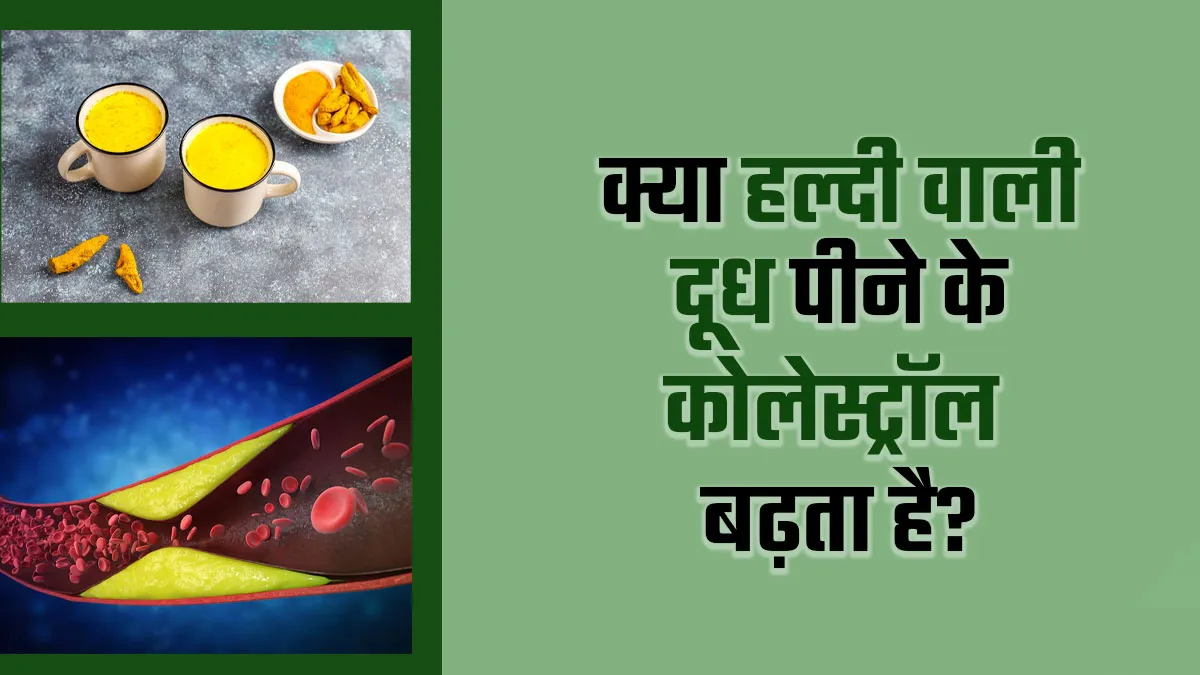 हल्दी वाला दूध पीने से कोलेस्ट्रॉल बढ़ता है क्या? एक्सपर्ट से जानें