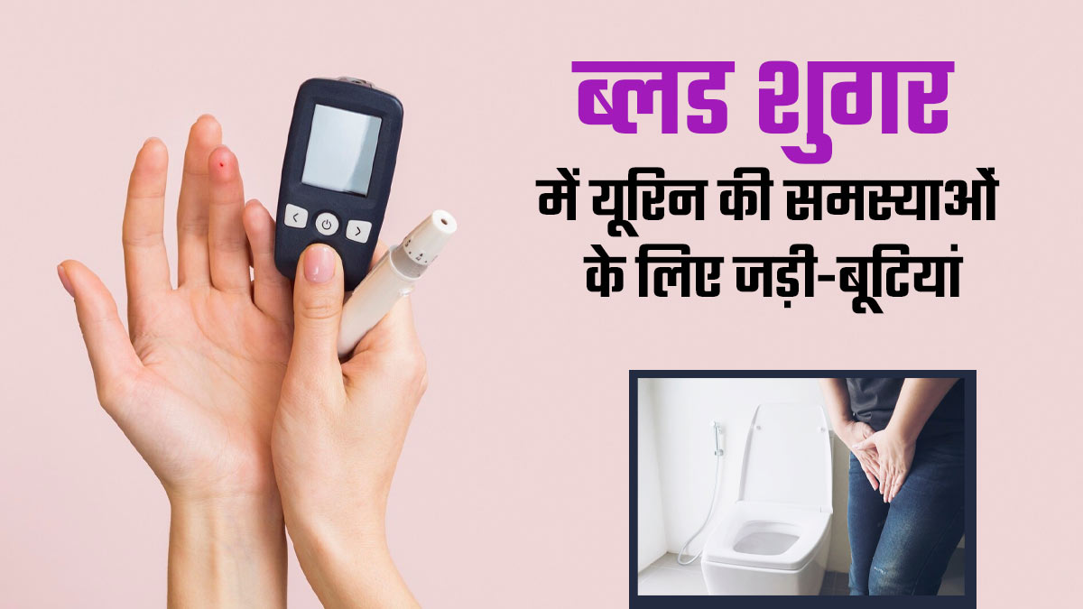 ब्लड शुगर में यूरिन से जुड़ी समस्याओं से हैं परेशान? करें इन जड़ी-बूटियों का इस्तेमाल