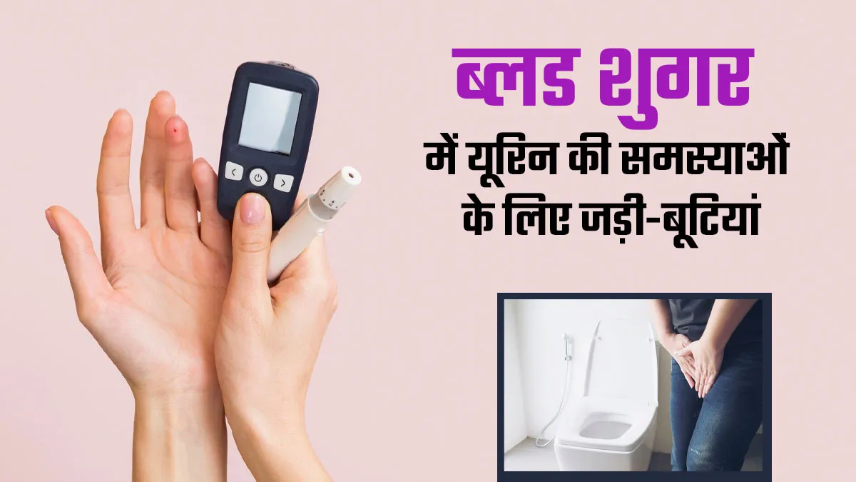ब्लड शुगर में यूरिन से जुड़ी समस्याओं से हैं परेशान? करें इन जड़ी-बूटियों का इस्तेमाल