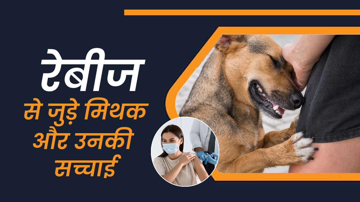क्या वाकई रेबीज सिर्फ कुत्ते के काटने से होता है? जानें ऐसे 7 मिथकों की सच्चाई डॉक्टर से